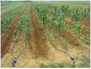 Irrigation Scheduler - Programmable System Irrigation Scheduler - Programmable System
