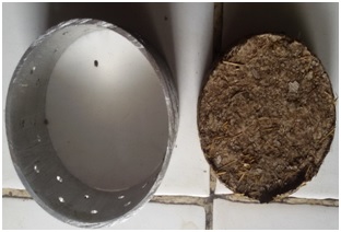 Production of Briquettes from agricultural residues, its process optimization and quality analysis