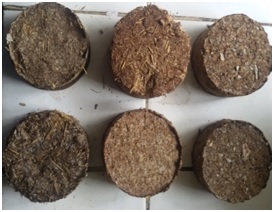 Production of Briquettes from agricultural residues, its process optimization and quality analysis