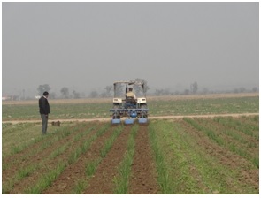 Inter-row Rotary Cultivator for Wide-row Crops Inter-row Rotary Cultivator for Wide-row Crops