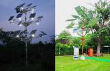 Solar Power Tree