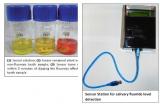 Salivary Fluoride Detection Kit