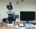 Optical Microscope with Image Analyzer