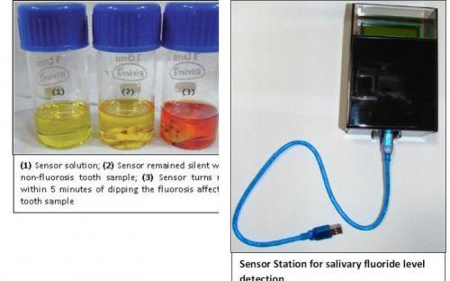 Salivary Fluoride Detection Kit