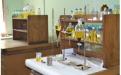 Infrastructural Facilitation of Biodiesel Testing Laboratory
